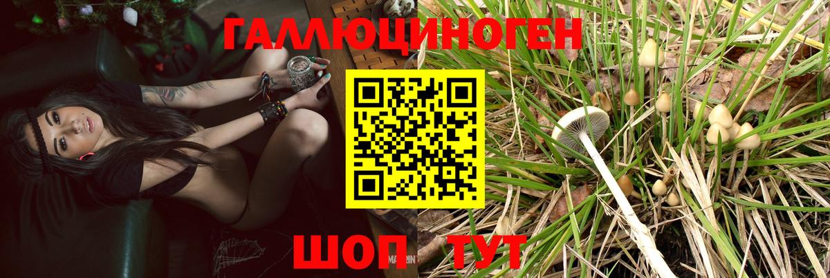 Псилоцибиновые грибы MAGIC MUSHROOMS  Вход с VPN  Саранск 